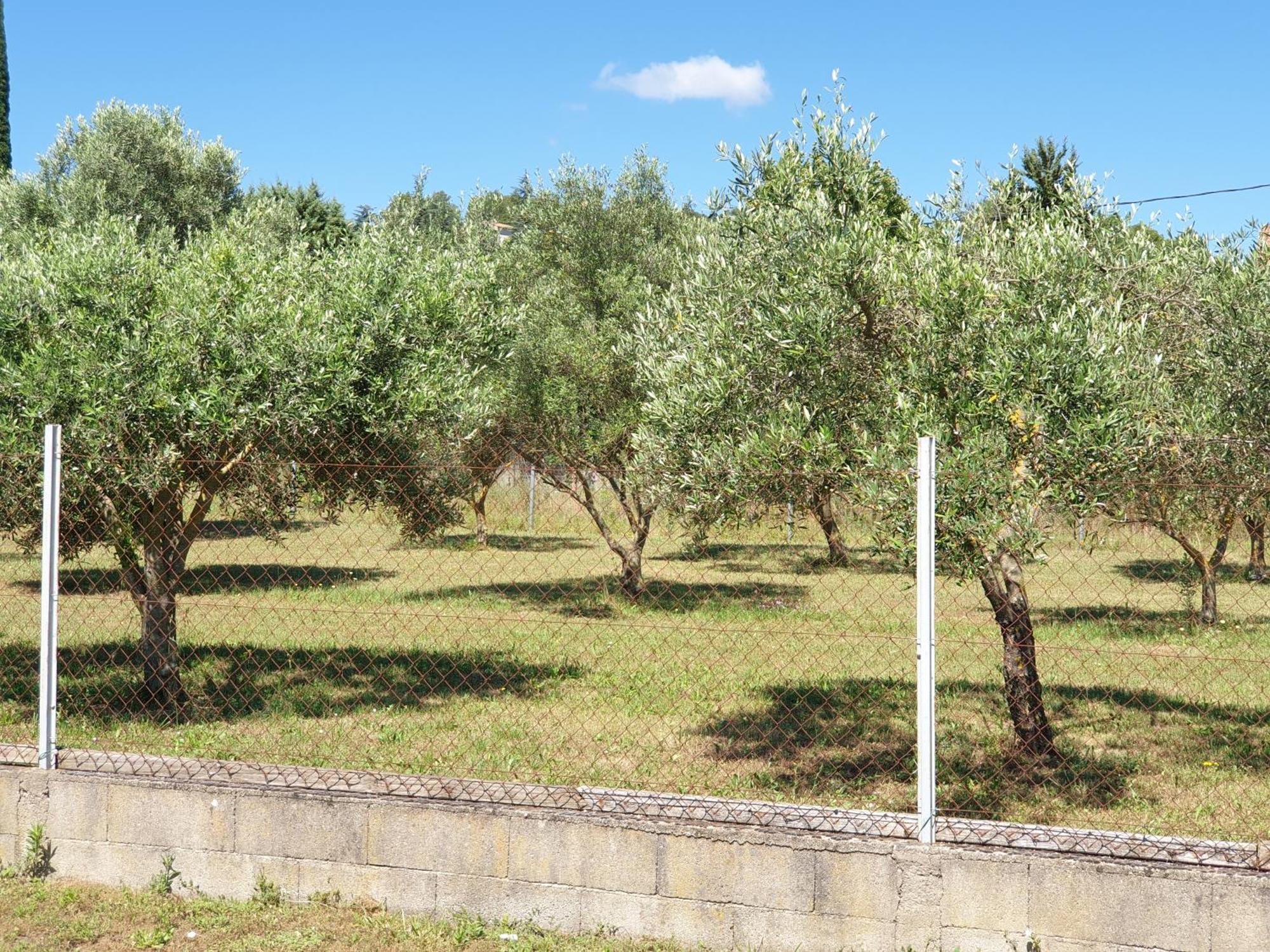 Gite Et Piscine L'Ecrin Aux Oliviers En Cevennes Saint-Christol-lès-Alès 外观 照片